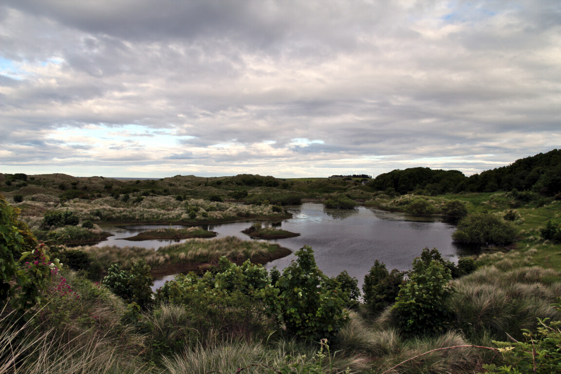 Dunes Near Bamburgh Castle, Northumberland